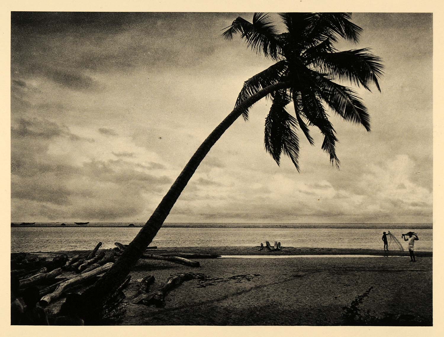 1929 Photogravure Coconut Palm Tree Beach Negombo Sri Lanka Ceylon Indian Ocean