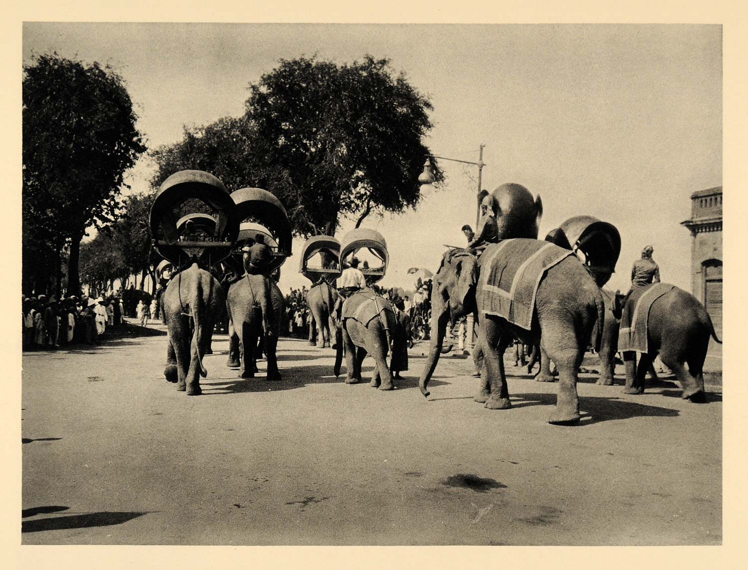 1929 Photogravure Cambodia King Sisowath Funeral Procession Elephants Kampuchea