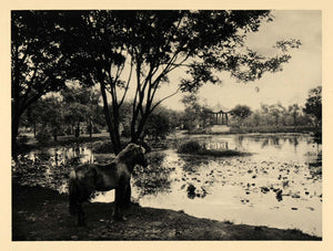 1929 Photogravure Kunming China Yunnan-Fu Fish Temple Lake Yunnan Province