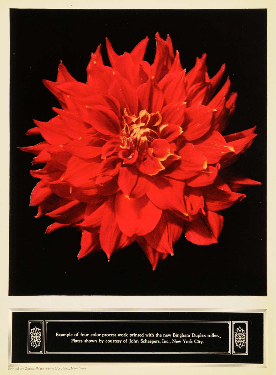 1922 Ad Bingham Duplex Roller Color Process Work Print - ORIGINAL IPR1 ...