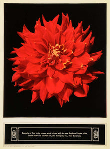 1922 Ad Bingham Duplex Roller Color Process Work Print - ORIGINAL IPR1