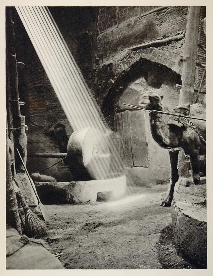 1937 Iranian Oil Mill Camel Iran Photogravure Graefe - ORIGINAL PHOTOGRAVURE IR1