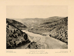 1926 Cypress Forest Sefid River Valley Rud Iran Print ORIGINAL HISTORI ...