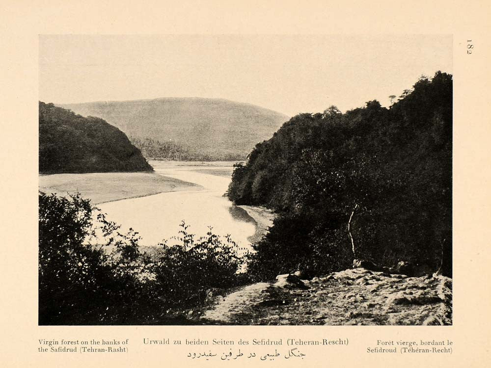 1926 Forest Trees Sefid River Rud Iran Landscape Print ORIGINAL HISTORIC IR2