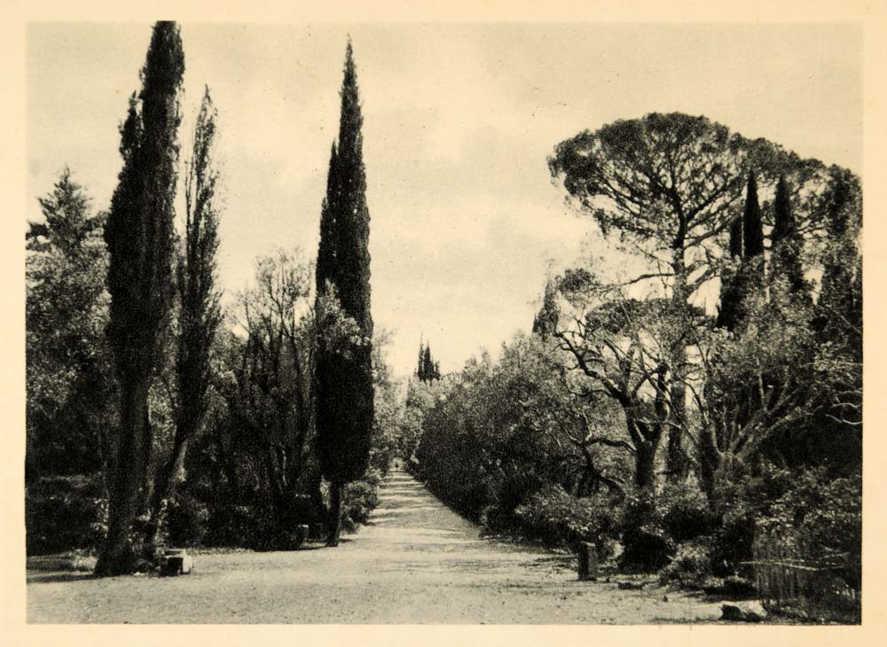 1927 Rome Hadrian Villa Adriana Path Trees Photogravure - ORIGINAL IT3