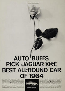 1964 Ad Jaguar XK-E Sports Car Automobile Award Rose - ORIGINAL ADVERTISING JAG