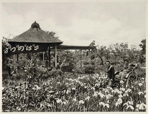 1930 Iris Flowers Japan Japanese Man Woman Photogravure - ORIGINAL JAPAN2