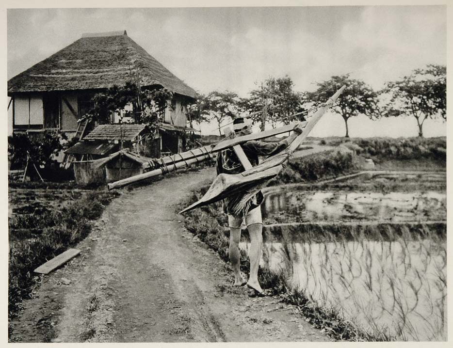 1930 Photogravure Japan Rice Paddy Japanese Farmer Photo F M Trautz JA ...