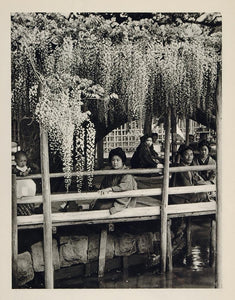 1930 Japanese Garden Glycinias Flowers Kamata Tokyo - ORIGINAL PHOTOGRAVURE JK1