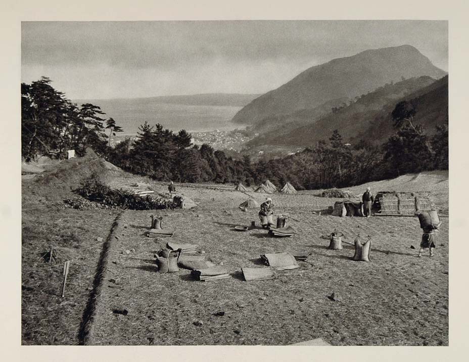1930 Japanese Rice Harvest Field Beppu Japan Landscape - ORIGINAL JK1 ...