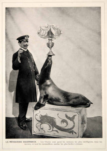 1914 Print Tierpark Hagenbeck Trained Sea Lion Hamburg Zoo Germany Trainer Trick