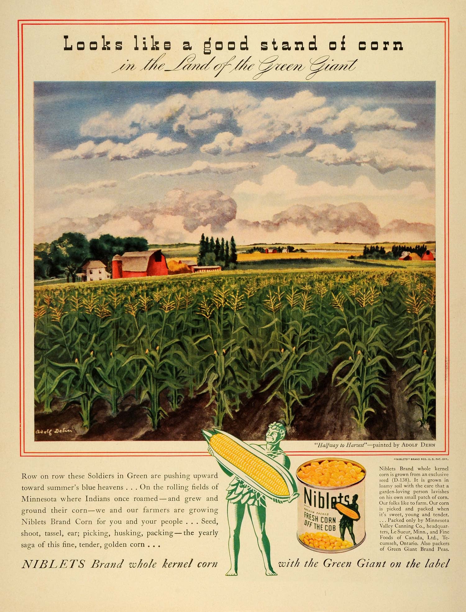 1942 Ad Halfway to Harvest Adolph Dehn Nibelts Corn Green Giant Farm Barn LF4