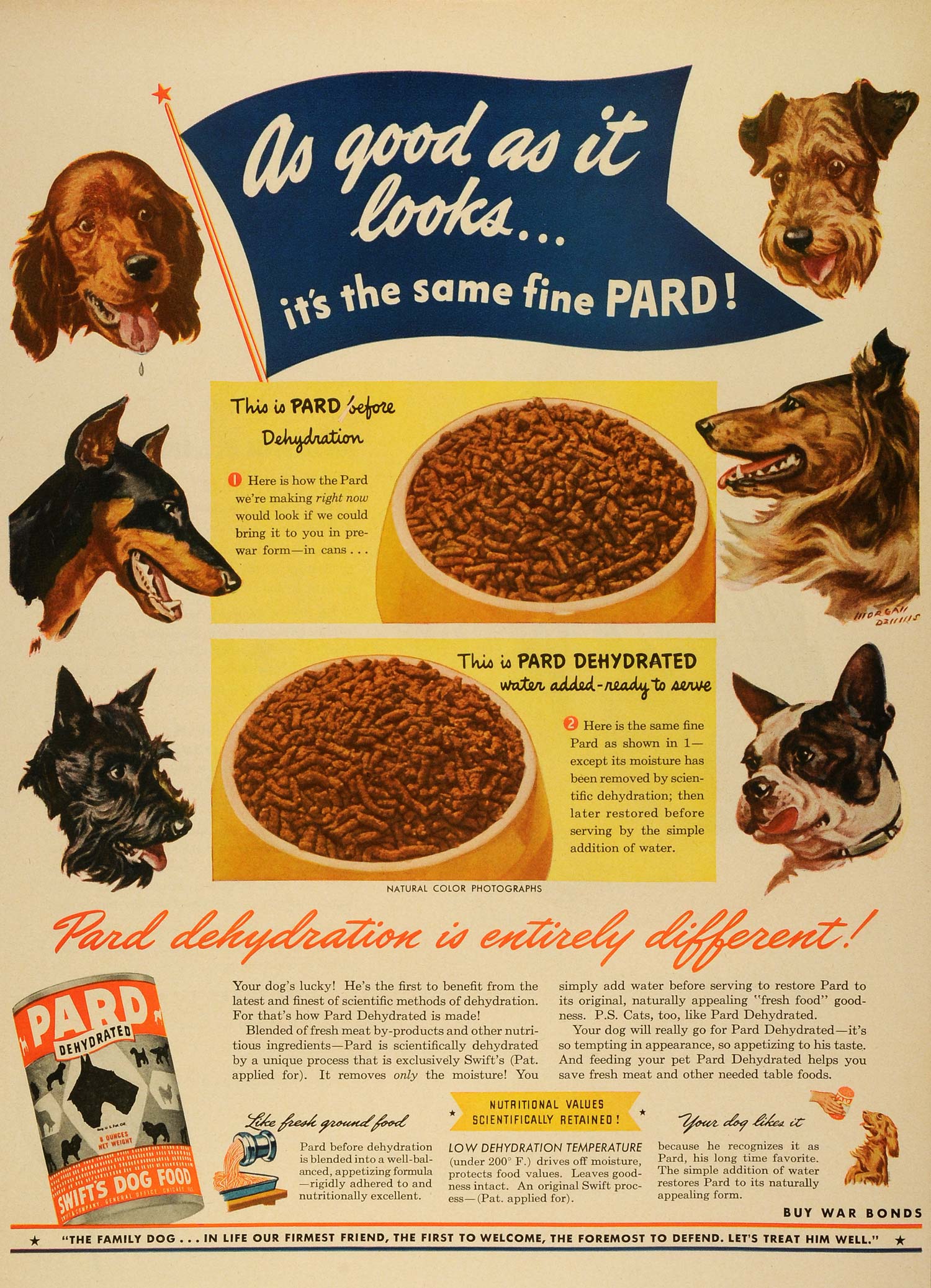 1944 Ad Swift & Co Dog Food Pard Dehydrated Pets Fox Terrier Collie Doberman LF4