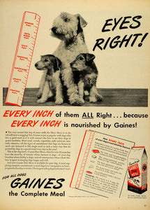 1944 Ad Gaines Food Co Sherburne New York Dog Meal Food Terriers Pets LF4