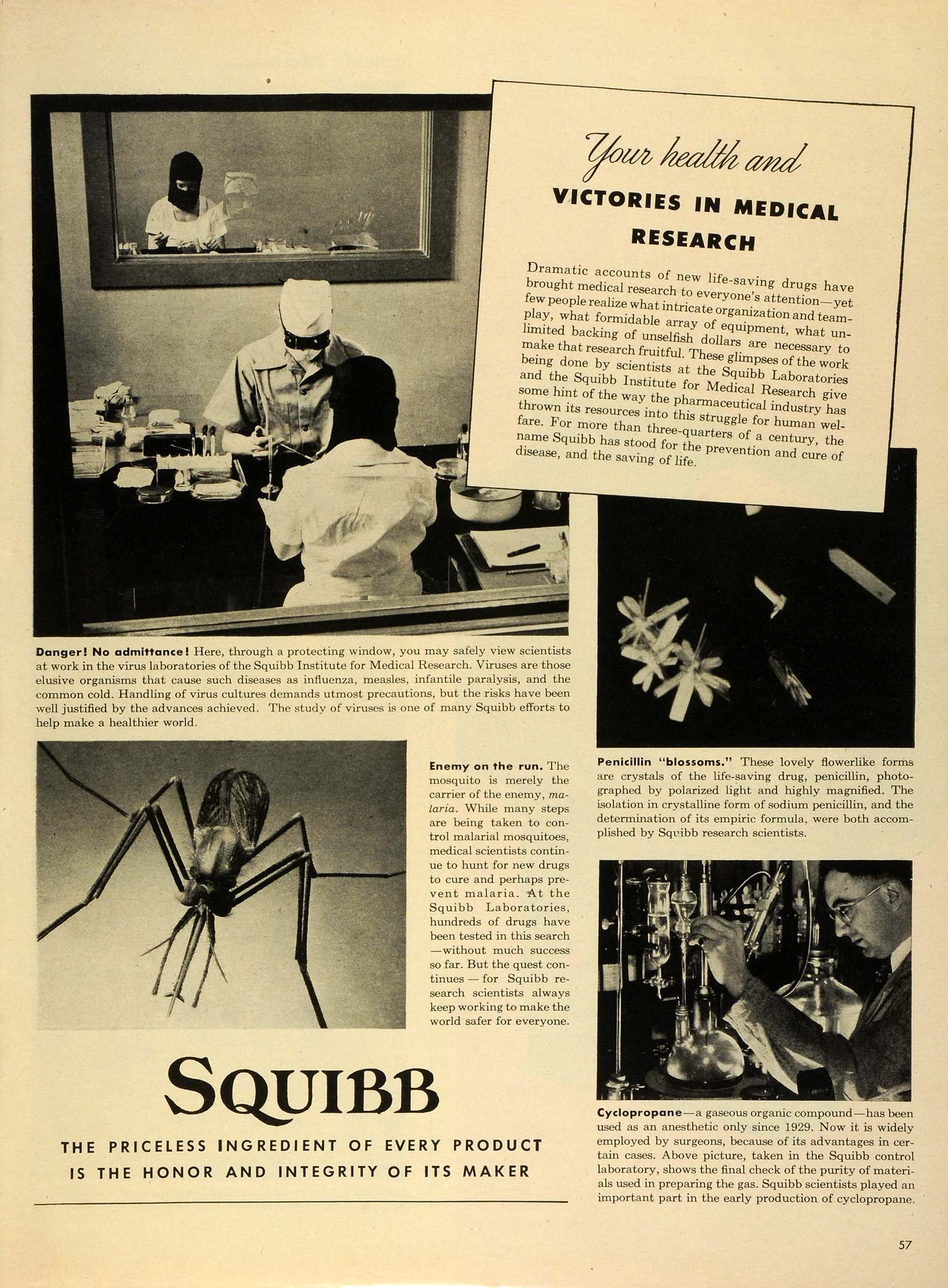 1945 Ad Bristol-Myers Squibb Laboratories Pharmaceutical Co Research LF4