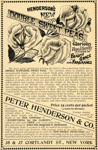 1895 Ad Peter Henderson Double Sweet Peas Flowers Price - ORIGINAL LHJ3