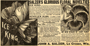 1891 Ad John A Salzers Glorious Floral Novelties Flower - ORIGINAL LHJ3