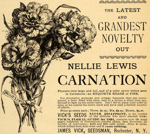 1891 Ad Nellie Lewis Carnations James Vick Seeds Flower - ORIGINAL LHJ3