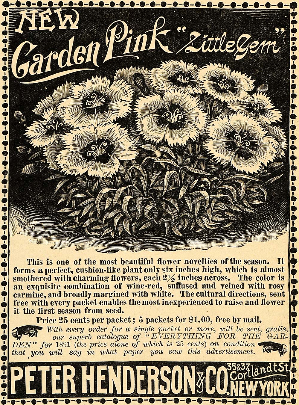 1891 Ad Flowers Peter Henderson & Company Cortlandt St - ORIGINAL LHJ3