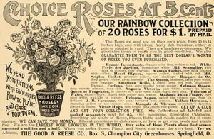 1897 Ad Rose Plant Garden Good Reese Springfield Flower - ORIGINAL LHJ3
