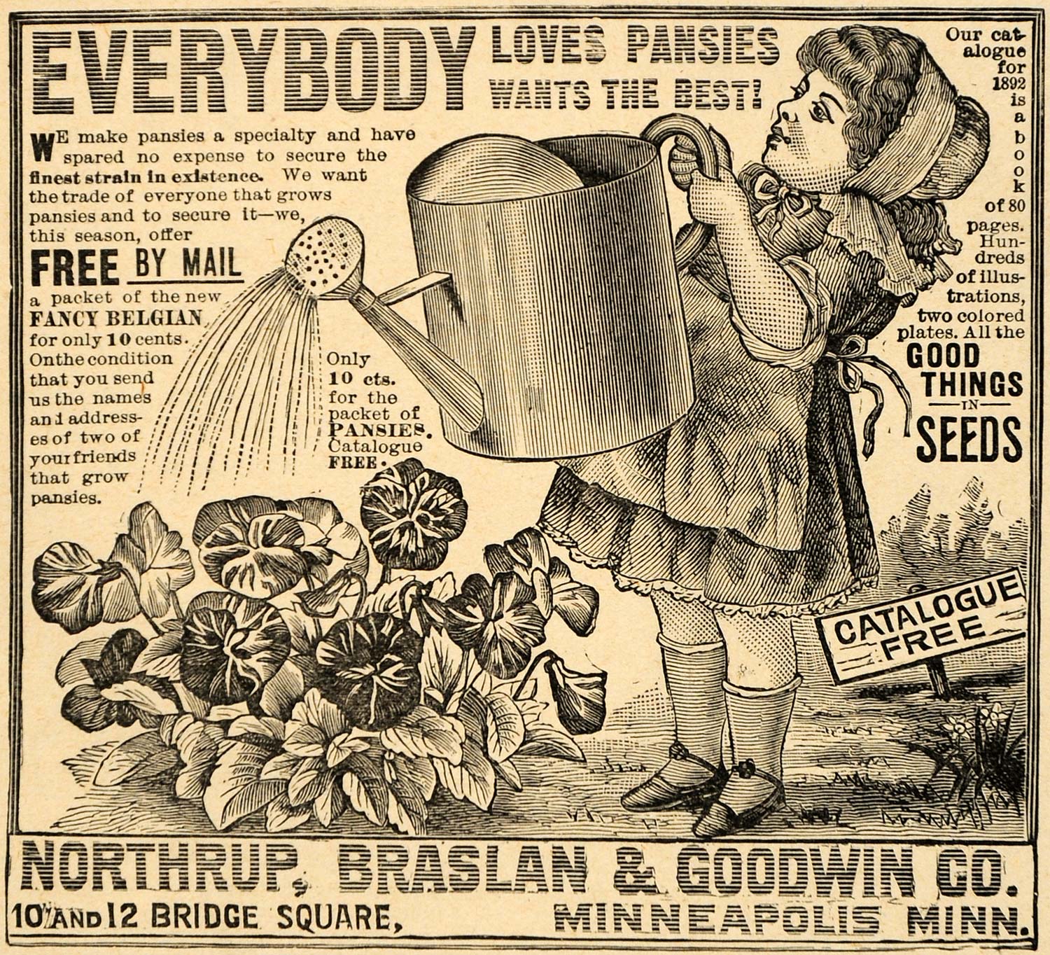 1892 Ad Northrup Braslan Goodwin Pansy Water Can Child - ORIGINAL LHJ4