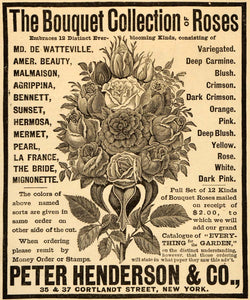 1889 Ad Peter Henderson Roses Flowers Gardening Plants - ORIGINAL LHJ4