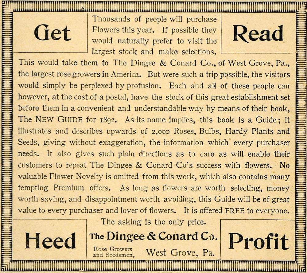1892 Ad Dingee Conard Rose Growers Gardening Guide Book Heed Seedsmen West LHJ4 - Period Paper
