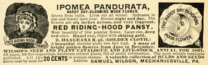 1891 Ad Samuel Wilson Red Riding Hood Pansy Flowers Mechanicsville LHJ6