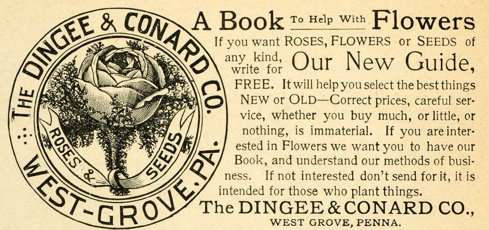 1891 Ad Dingee Conard Flower Seeds Gardening Agriculture West Grove LHJ6