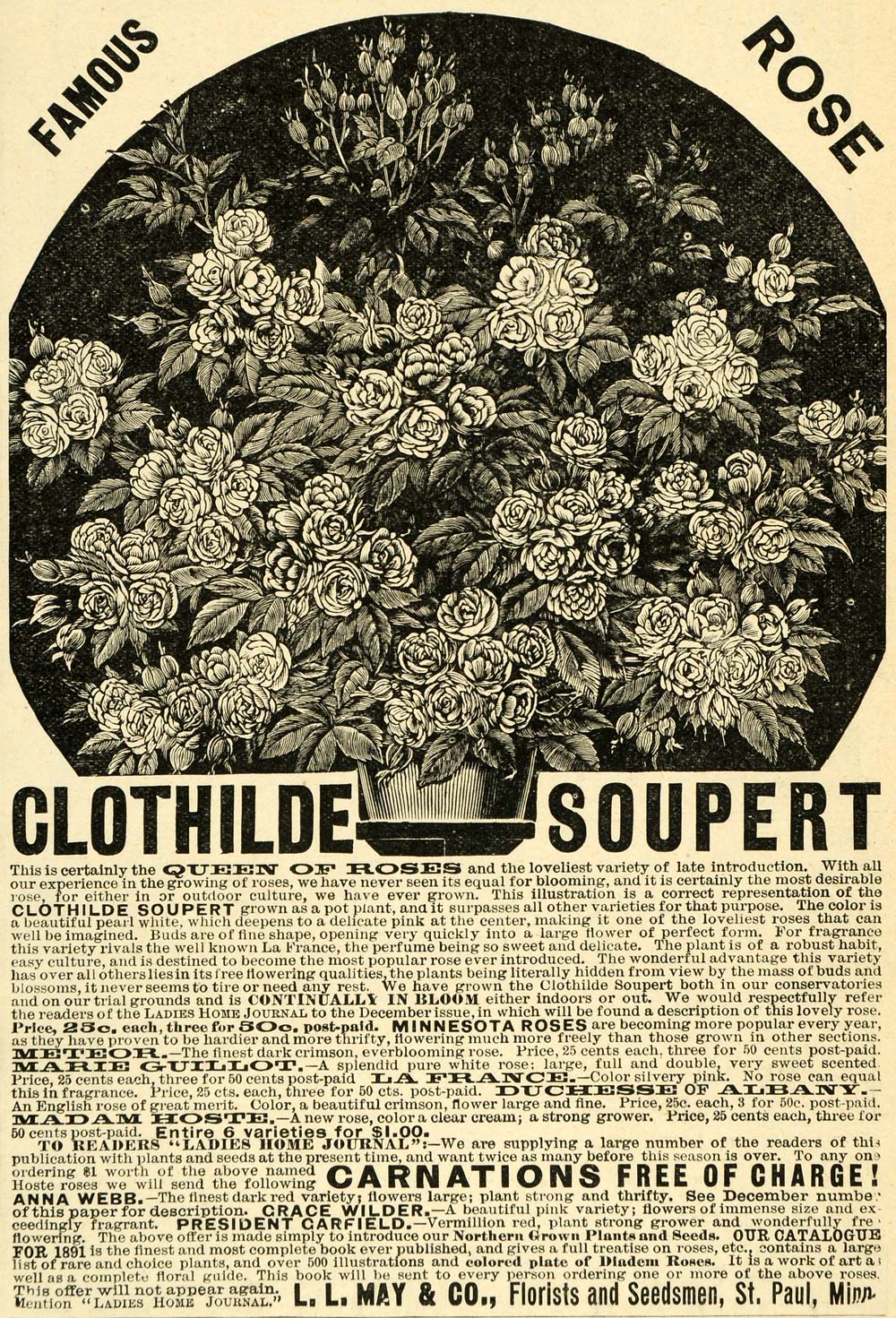 1891 Ad L. L. May Flower Varieties Florist Gardening Floral Botanical LHJ6