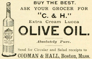 1893 Ad Codman Hall Extra Cream Lucca Olive Oil Bottle Condiment Salad LHJ6