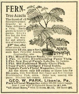 1893 Ad George W. Park Tree Plant Flower Gardening Seeds Agriculture LHJ6