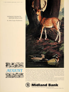 1965 Ad Midland Bank Leigh-Pemberton Fallow Deer Duck - ORIGINAL ADVERTISING LN1