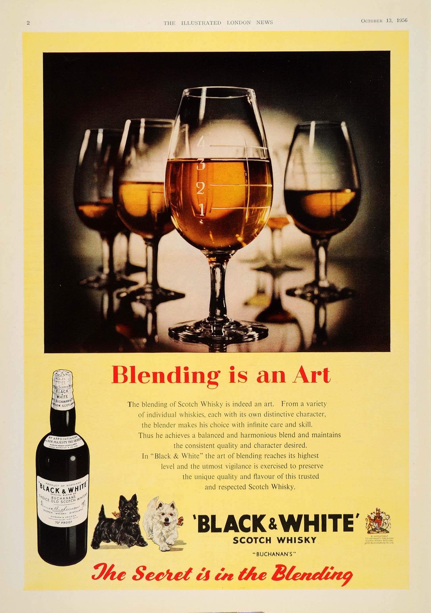 1956 Ad Buchanan's Black & White Scotch Whisky Terrier - ORIGINAL LN1