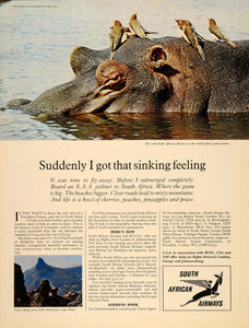 1965 Ad South African Airways Hippopotamus Lion's Head - ORIGINAL LN1