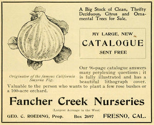 1901 Ad Fancher Creek Nurseries Figs Fresno California - ORIGINAL LOS1