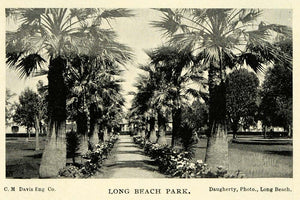 1899 Print Long Beach California Park Palm Trees - ORIGINAL HISTORIC IMAGE LOS1