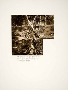 1887 Photogravure Pocantico River Waterfall Sleepy Hollow NY Landscape Wood LSH1