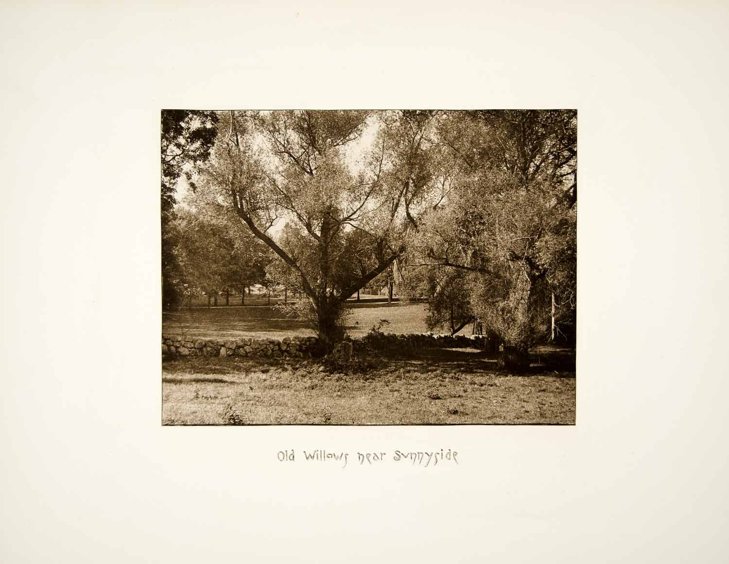 1887 Photogravure Willow Tree Sunnyside House Tarrytown New York Estate LSH1