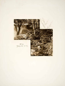 1887 Photogravure Sunnyside Brook Tarrytown New York Landscape Forest Woods LSH1