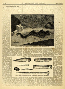 1873 Article Prehistoric Skeleton Man Menton France Stone Age Cave Tools MAB1