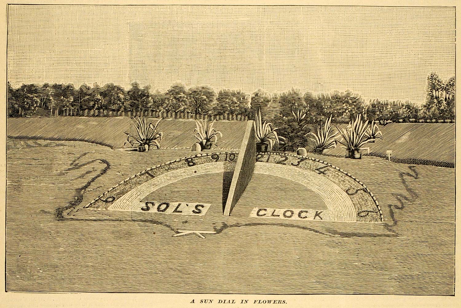 1891 Print Sundial Flowers Sol's Clock Decorative Garden Chicago Park MAB1