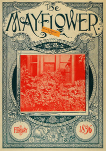 1896 Cover House Garden Plant Annie Sherman Flower Leaf - ORIGINAL MAY1