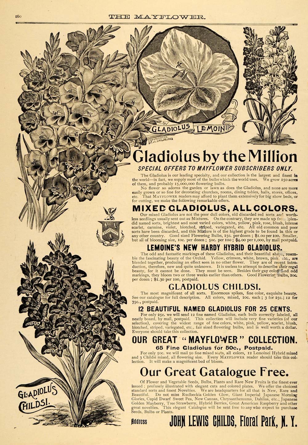 1896 Ad John Lewis Childs Floral Park Gladiolus Garden - ORIGINAL MAY1