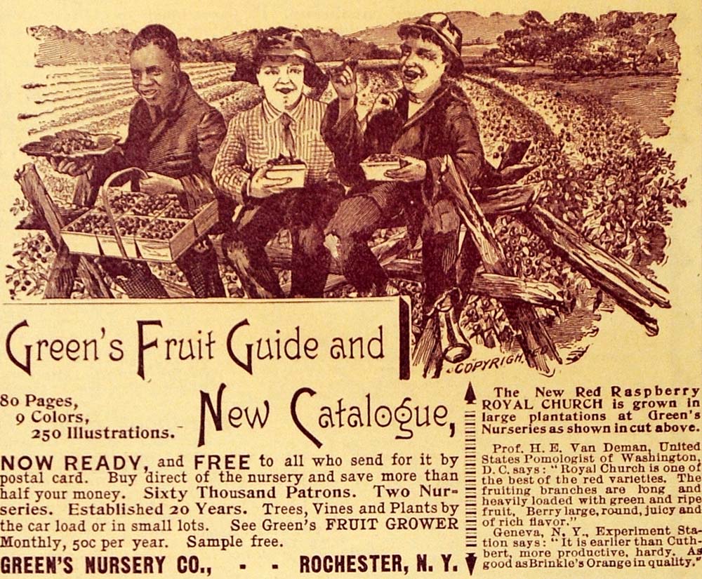 1894 Ad Greens Nursery Co Fruit Guide Red Raspberry - ORIGINAL ADVERTISING MAY1