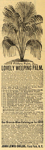 1892 Ad John Lewis Childs Filifera Palm Tree Plants NY - ORIGINAL MAY1