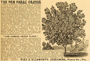 1892 Ad Pike & Ellsworth Jessamine Hardy Orange Tree - ORIGINAL ADVERTISING MAY1