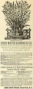 1896 Ad John Lewis Chinese Sacred Lily Bulb Flower - ORIGINAL ADVERTISING MAY1