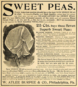 1896 Ad W. Atlee Burpee & Co. Sweet Peas Flowers PA - ORIGINAL ADVERTISING MAY1