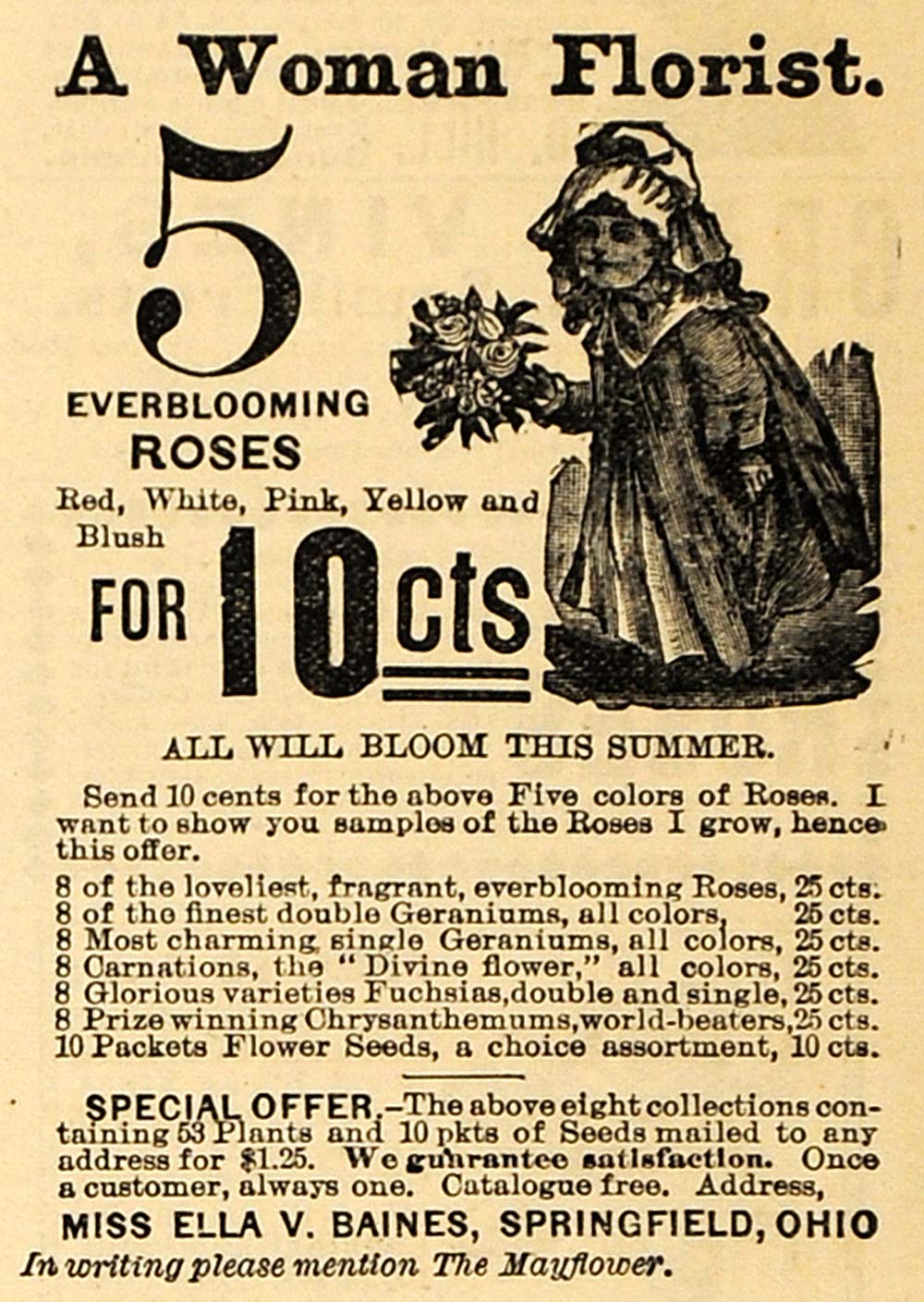 1896 Ad Miss Ella Baines Blooming Roses Flowers Ohio - ORIGINAL ADVERTISING MAY1